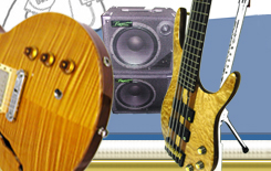 Custom electric guitars and custom electric bass guitars